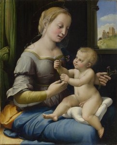 Die Madonna der Nelken (La Madonna dei Garofani), ca. 1506-1507