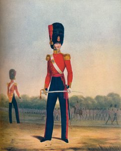 Offizier der Coldstream Guards Winterkleidung, 19. Jahrhundert 1909 von Ralph Nevill