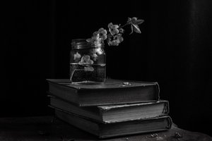 Stimmungsvolle Blüten auf Büchern