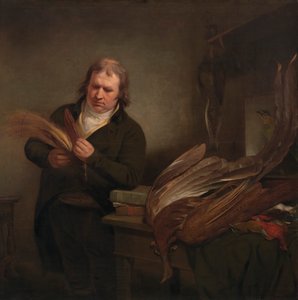 Ein Ornithologe, möglicherweise John Latham