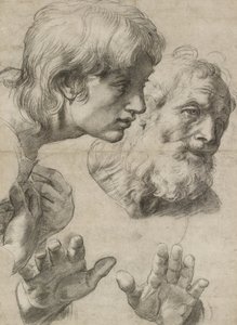 Studien der Köpfe von zwei Aposteln und ihrer Hände von Raphael