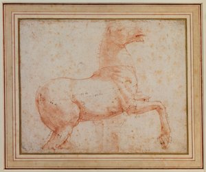 Studie eines der Quirinal-Marmor-Pferde von Raphael