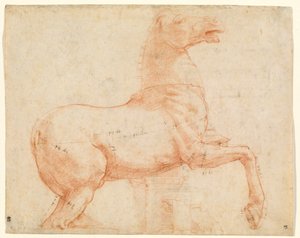 Ein Marmorpferd auf dem Quirinalshügel