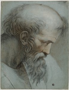 Kopf des Pythagoras von Raphael