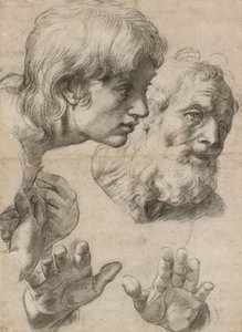 Studien der Köpfe von zwei Aposteln und ihrer Hände, 16. Jahrhundert von Raphael