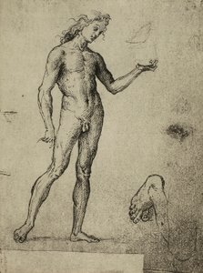Männliche Aktstudie; Zeichnung von Raphael. Gallerie dell