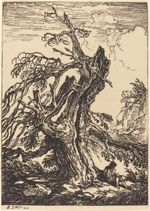 Studie eines Baumes von Raphael Lamar West