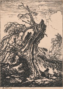 Studie eines Baumes von Raphael Lamar West