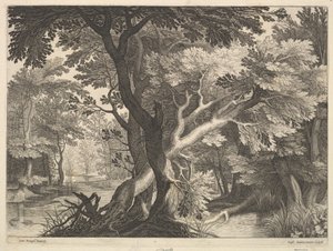 Bewaldete Landschaft von Raphael Sadeler