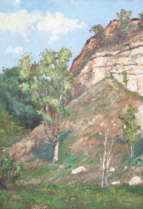 Bäume vor einer kleinen Klippe von Raymond Bonnefon