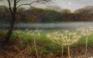 Dezember in der Dämmerung: Nebel über den Feldern von Raymond Booth