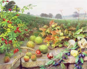 Ernte der wilden Ernte von Raymond Booth