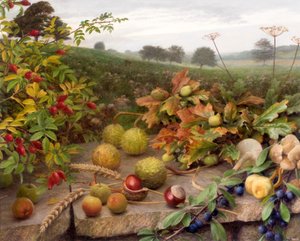 Ernte in der Wildnis von Raymond Booth