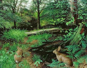 Im Wald - Ein Mittsommerabend von Raymond Booth