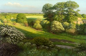 Landschaft von Raymond Booth