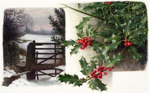 Midwintertau mit Stechpalme von Raymond Booth
