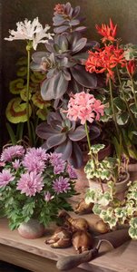Oktoberblumen von Raymond Booth