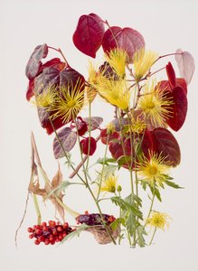Ukon tachibana von Raymond Booth