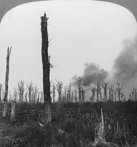 Hochexplosive Granaten explodieren im Mametz-Wald, Frankreich, Erster Weltkrieg