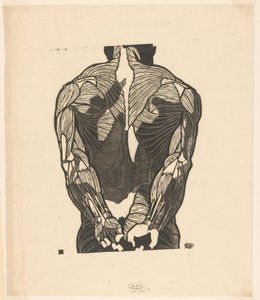 Anatomische Studie der Rückenmuskeln eines Mannes von Reijer Stolk
