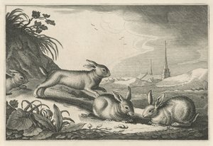 Dünenlandschaft mit Kaninchen von Reinier van Persijn