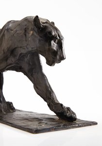Panther im Gehen, Hinterbein erhoben, ca. 1904