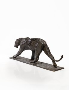 Panther im Gehen, Hinterbein erhoben