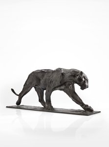 Panther im Gehen, Hinterbein erhoben