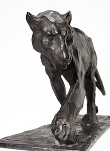 Panther im Gehen, Hinterbein erhoben, ca. 1904