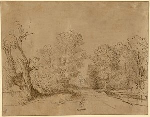 Eine bewaldete Straße von Rembrandt Harmensz. van Rijn
