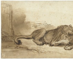 Liegender Löwe mit der Vorderpfote über der Schnauze von Rembrandt van Rijn (school of)