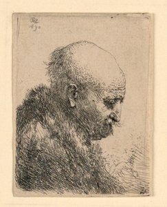 Kahlköpfiger Mann im Profil rechts: Kleine Büste; Der Vater des Künstlers? von Rembrandt van Rijn
