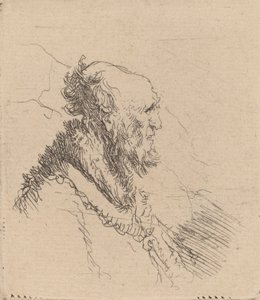 Kahlköpfiger alter Mann mit kurzem Bart im Profil von Rembrandt van Rijn