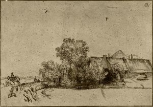 Bauernhaus in Amsteldijk