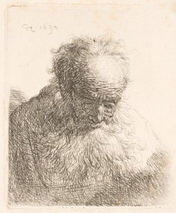 Büste eines alten Mannes mit fließendem Bart: der Kopf nach vorne geneigt: linke Schulter unbeschattet von Rembrandt van Rijn