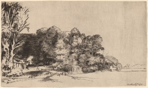 Baumgruppe mit Aussicht