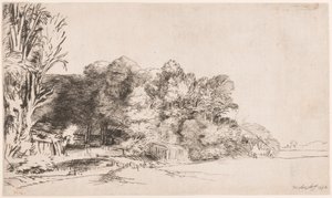 Baumgruppe mit Aussicht