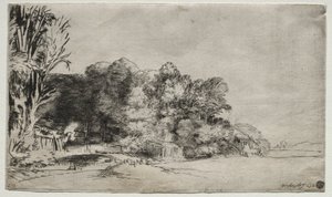 Baumgruppe mit Aussicht
