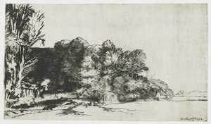 Baumgruppe mit Aussicht