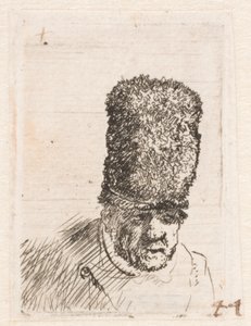 Kopf eines alten Mannes mit hoher Pelzmütze von Rembrandt van Rijn