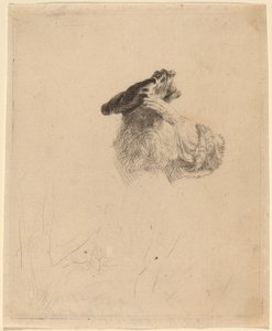 Alter Mann, der seine Augen mit der Hand beschattet von Rembrandt van Rijn