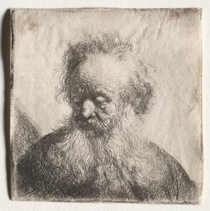Alter Mann mit fließendem Bart: Büste, 1631 von Rembrandt van Rijn