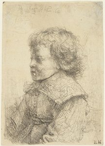 Porträt eines Jungen von Rembrandt van Rijn