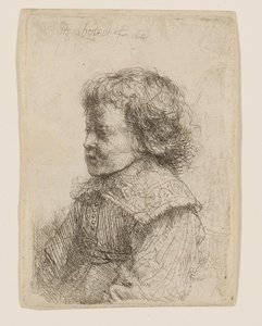 Porträt eines Jungen im Profil von Rembrandt van Rijn