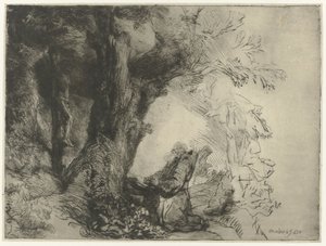 Der heilige Franziskus betet unter einem Baum von Rembrandt van Rijn