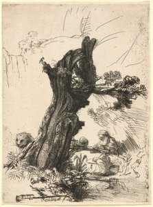 Heiliger Hieronymus neben einer Kopfweide von Rembrandt van Rijn