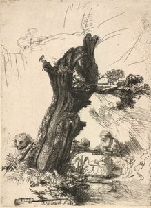 Heiliger Hieronymus neben einer Kopfweide, 1648 von Rembrandt van Rijn