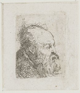 Blatt mit Studien von Männerköpfen: alter bärtiger Mann fast im Profil nach rechts: Mund halb geöffnet von Rembrandt van Rijn