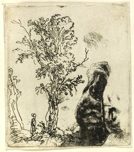 Blatt mit zwei Studien: Ein Baum und der obere Teil des Kopfes des Künstlers mit Samtkappe von Rembrandt van Rijn
