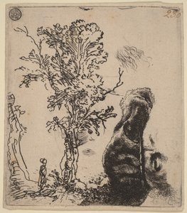 Blatt mit zwei Studien: ein Baum und der obere Teil eines Kopfes des Künstlers mit Samtkappe von Rembrandt van Rijn